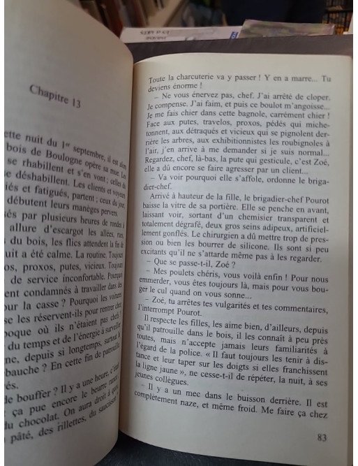 Quand les brochets font courir les carpes par Jean-Louis Debré : Un polar au cœur du pouvoir politique