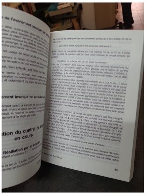 Propriétaires et Locataires : Droits et Obligations en Secteur Privé Libre par Suzanne Lanneree - Guide juridique