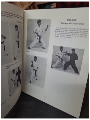 Karaté - Technique et efficacité par Roger Paschy : manuel d'entraînement pour les arts martiaux