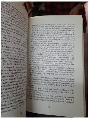 Le gué du Yabboq par Gerald Messadié : L'homme qui se battit contre Dieu
