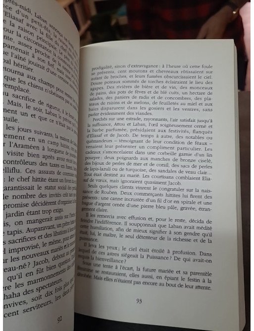 Le gué du Yabboq par Gerald Messadié : L'homme qui se battit contre Dieu