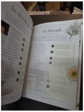 Les remèdes de Dame Nature par Karen Hurrell
