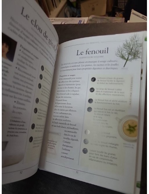 Les remèdes de Dame Nature par Karen Hurrell