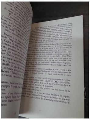 La Femme-écriture Suivi de Loin dans le gris - Poèmes (Astrée) de Michel Lucarelli