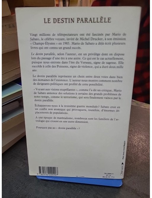 Le Destin parallèle de Mario de Sabato - Un roman sur la voyance