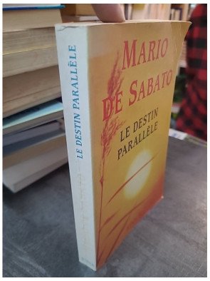 Le Destin parallèle de Mario de Sabato - Un roman sur la voyance