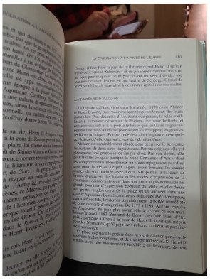 Les Plantagenêts : Origines et destin d'un empire - Par l'historien Jean Favier