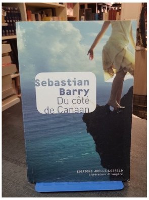 Du côté de Canaan par Sebastian Barry : roman sur l'exil, la résilience et la quête d'identité