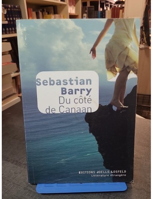Du côté de Canaan par Sebastian Barry : roman sur l'exil, la résilience et la quête d'identité