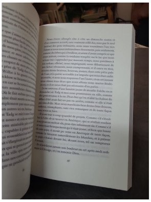 Du côté de Canaan par Sebastian Barry : roman sur l'exil, la résilience et la quête d'identité