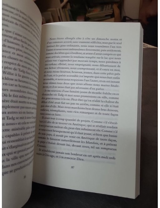 Du côté de Canaan par Sebastian Barry : roman sur l'exil, la résilience et la quête d'identité