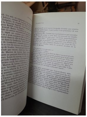 Louis II de Bavière par Jean Adès : de la réalité à l'idéalisation romantique