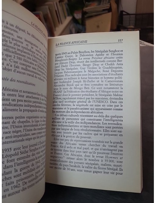 La France Africaine par Jean-Paul Gourévitch : analyse de l'islam, l'intégration et l'insécurité