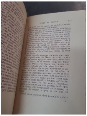 Échec au destin par F. D'Auteville : un roman des éditions Du Dauphin