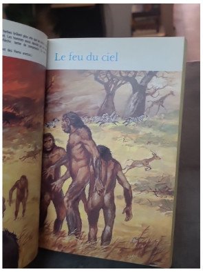 Les temps préhistoriques par Louis-René Nougier et Pierre Joubert