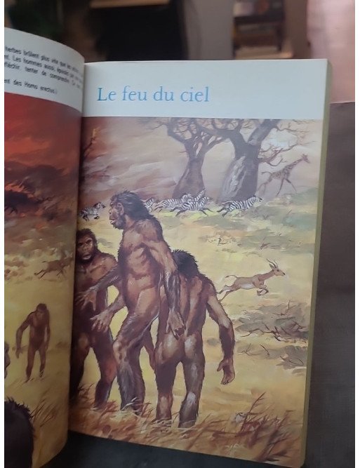 Les temps préhistoriques par Louis-René Nougier et Pierre Joubert