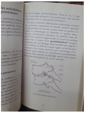Tournez le dos au mal du siècle par Brice Edouard - Conseils pour la santé du dos