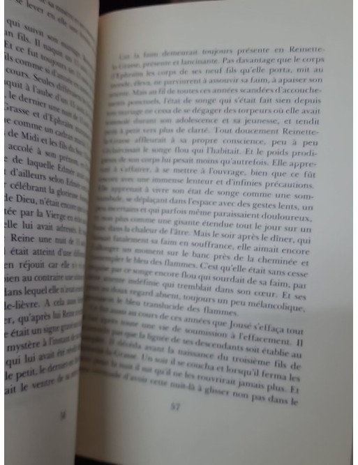 Jours de colère par Sylvie Germain