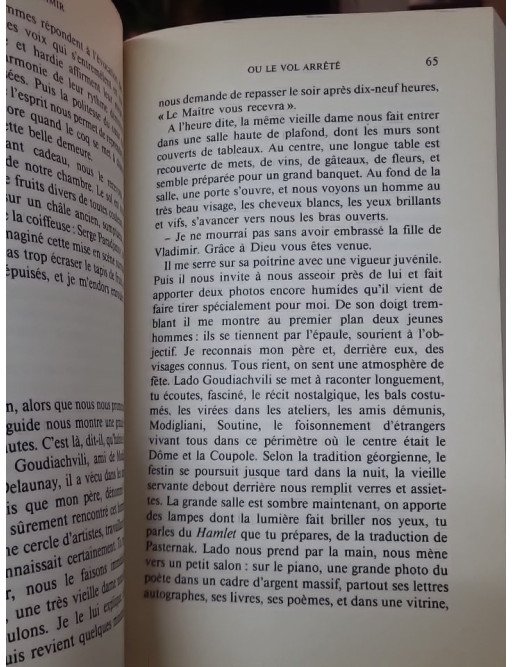 Vladimir ou le vol arrêté par Marina Vlady