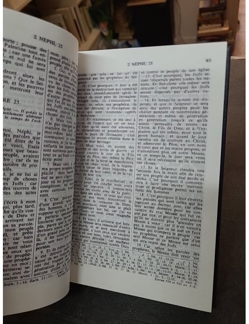 Le livre de Mormon - Un témoignage de Jésus-Christ par Mormon et Joseph Smith