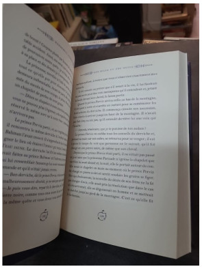Les Mille Et Une Nuits - Contes classiques par Andrew Lang