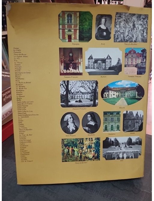 Merveilles des châteaux de Bourgogne et de Franche-Comté par Pierre Le Guay