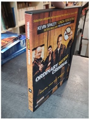Ordinary Decent Criminal (DVD)