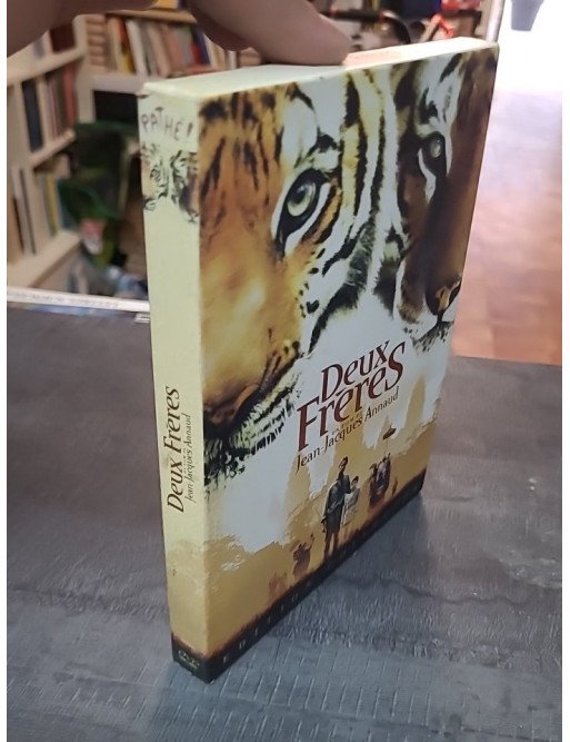Deux frères (DVD)