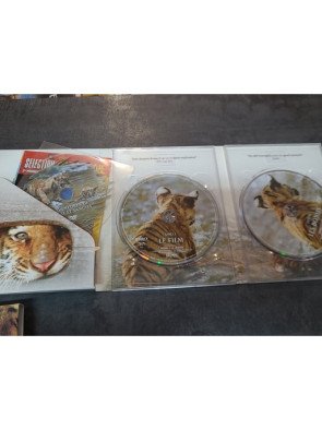 Deux frères (DVD)