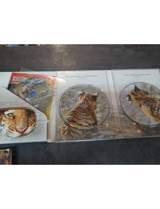 Deux frères (DVD)