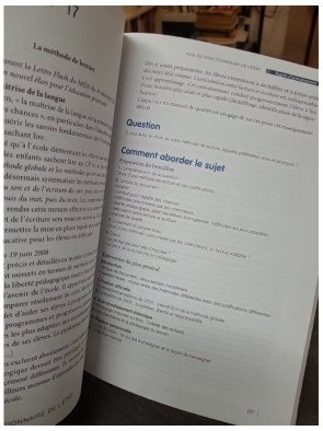 Professeur des écoles - Arts visuels + agir en fonctionnaire de l'Etat par Marc Loison et al.