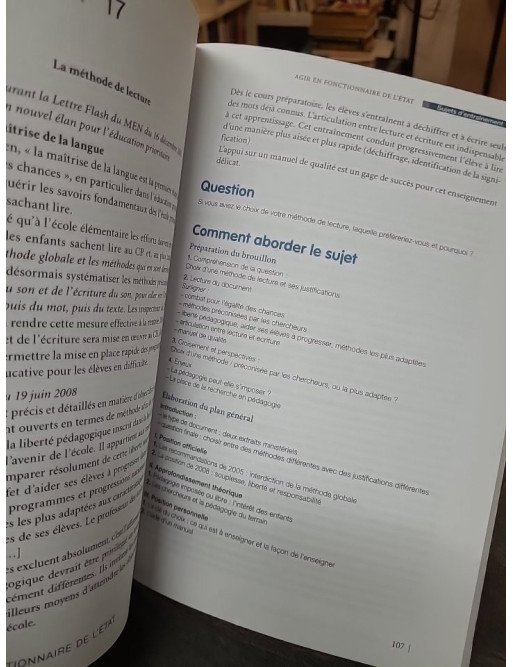 Professeur des écoles - Arts visuels + agir en fonctionnaire de l'Etat par Marc Loison et al.