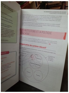 Agir En Fonctionnaire De L'Etat Et De Façon Éthique Et Responsable par Alain Corneloup