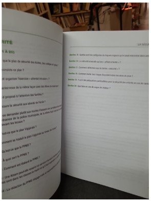 Oral du CRPE : 200 Questions sur des situations professionnelles par Michèle Guilleminot