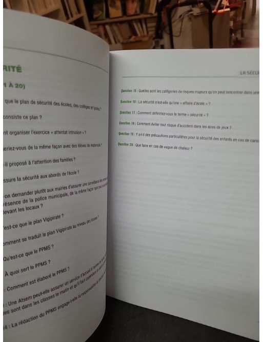 Oral du CRPE : 200 Questions sur des situations professionnelles par Michèle Guilleminot