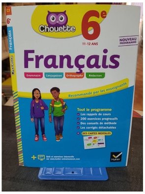 Français 6e : Cahier d'entraînement et de révision par Sandrine Girard et Thierry Marquetty