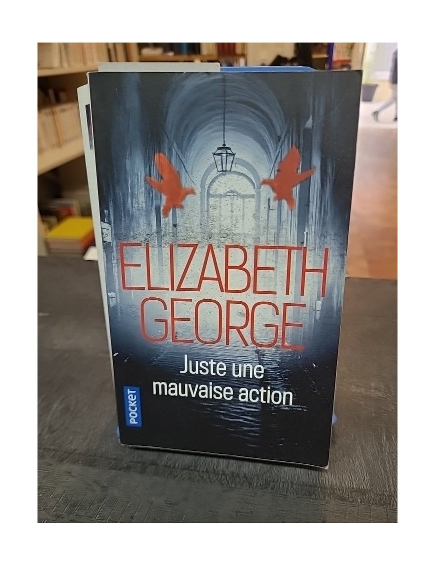 Juste une mauvaise action - Elizabeth George