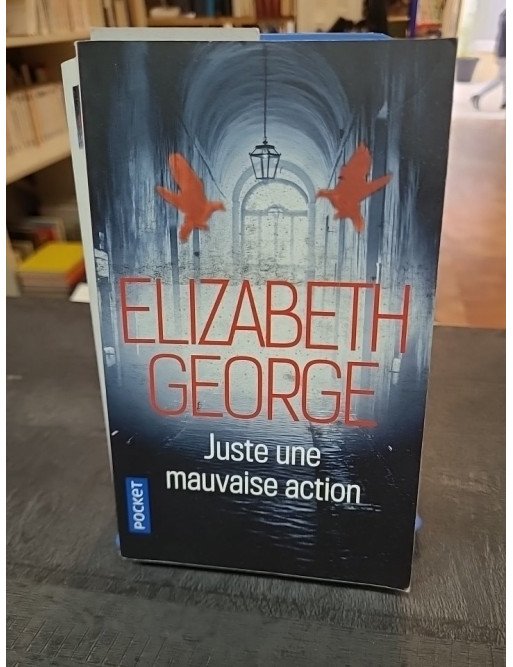 Juste une mauvaise action - Elizabeth George