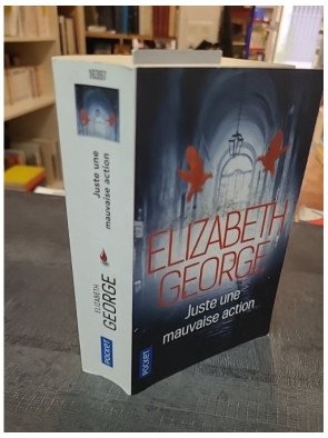Juste une mauvaise action - Elizabeth George