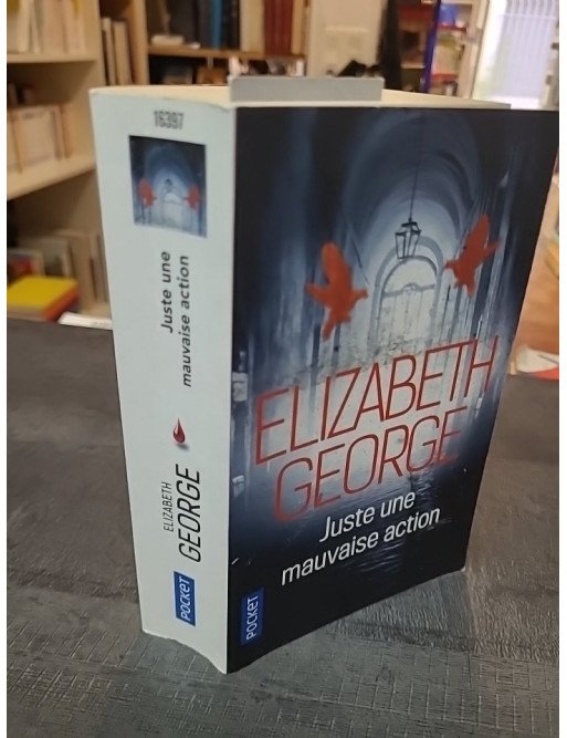 Juste une mauvaise action - Elizabeth George