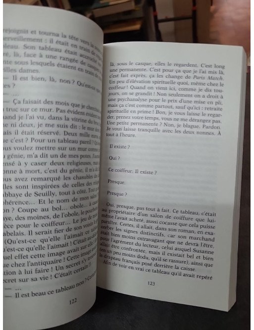 Sarah, Susanne et l'écrivain - Éric Reinhardt