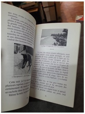 Sacapuces, de l'Enfer au Paradis - Béatrice Vernigi, Brigitte Bardot, François Bagnaud