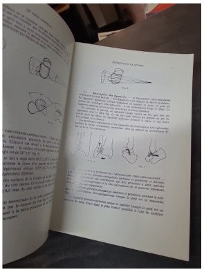 Cinesiologie et rééducation du pied par Etienne De Doncker & Casimir Kowalski