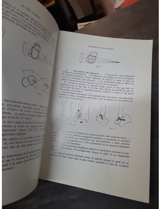 Cinesiologie et rééducation du pied par Etienne De Doncker & Casimir Kowalski