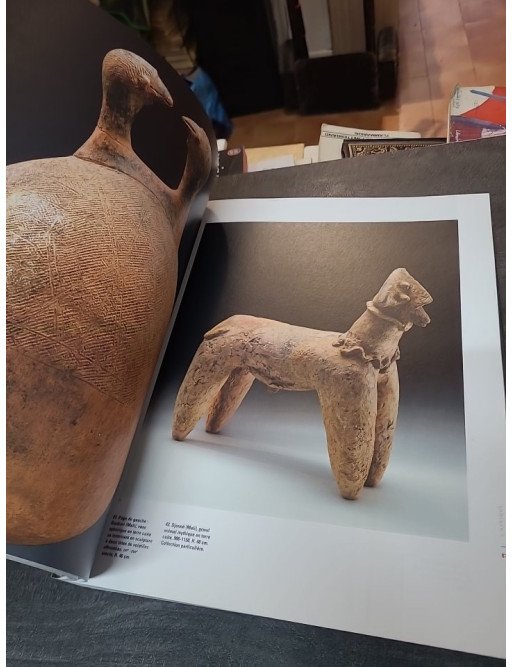 La grande histoire de l'art, Tome 14 : L'Afrique - Ivan Bargna