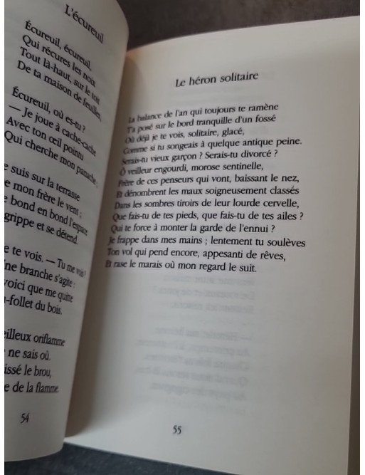 Pour un enfant poète : Poésie jeunesse de Pierre Menanteau