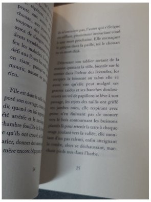 Les Blés d'Annie Saumont