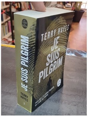 Hong Kong Noir de Chan Ho-kei