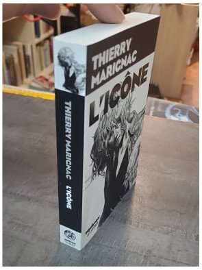 L'Icône de Thierry Marignac