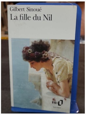 La fille du Nil de Gilbert Sinoué